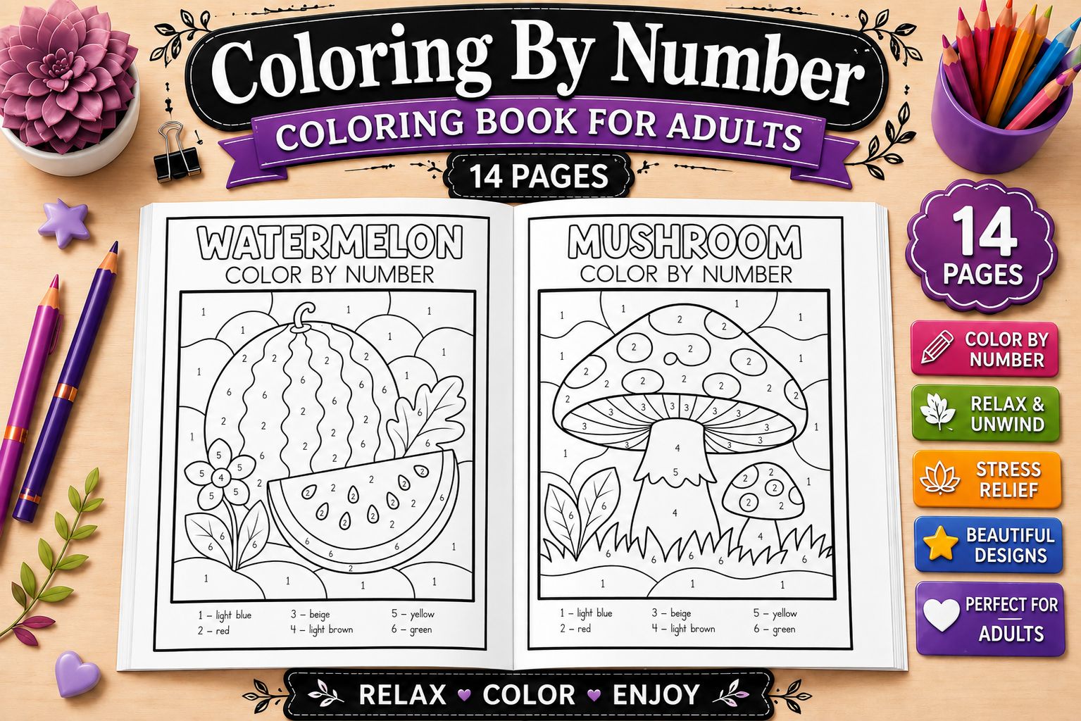 Color by Number Coloring Book for Adults